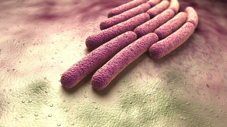 Picture 5 of Forget sharks, these 5 bacteria also make you