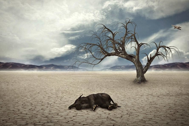 Picture 1 of Forget the dinosaurs, this is the most horrifying extinction in Earth's history