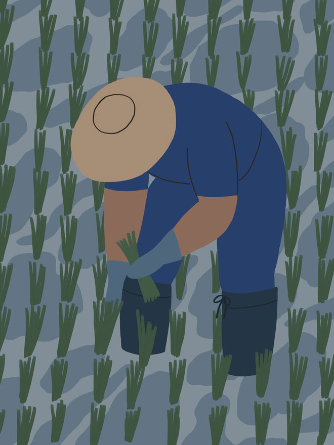 Picture 14 of Forgotten killer disease: Farmers' bare feet and mud in the field