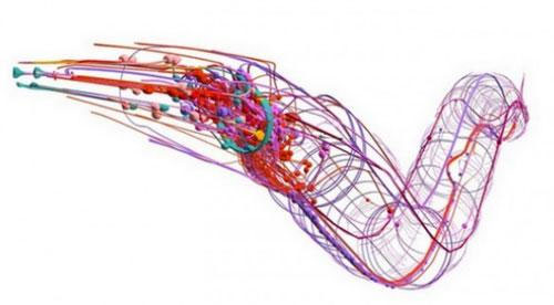 Picture 1 of Form of artificial life