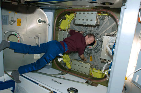 Picture 3 of Former ISS commander believes there are aliens