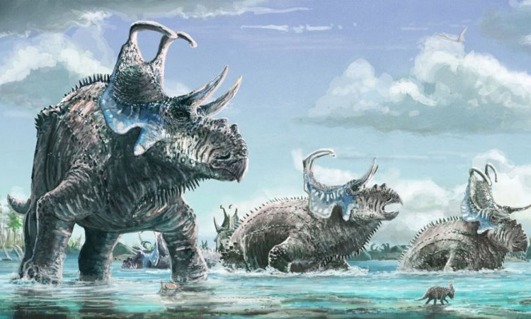 Picture 1 of Fossil discovery of new dinosaurs