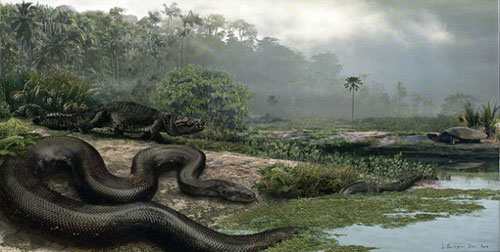 Picture 2 of Fossil 'thick shell turtle' discovered in Columbia