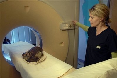 Picture 1 of Fossil turtle pregnant