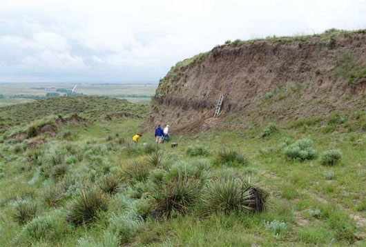 Picture 1 of Fossil-filled fossil soil was found