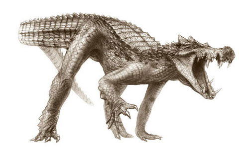 Picture 2 of Fossils discovered 5 crocodile species 100 million years