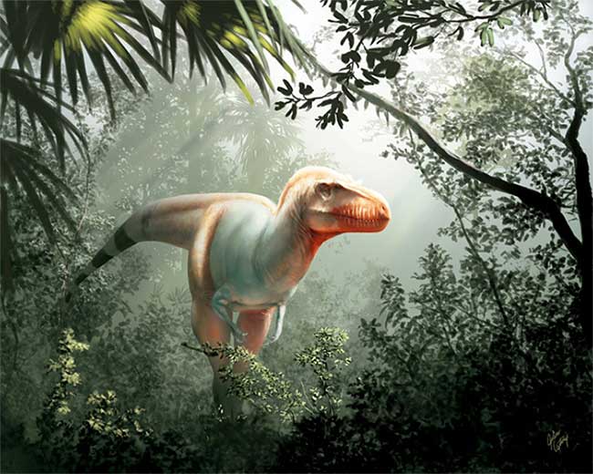 Picture 1 of Fossils reveal relatives of tyrant dinosaurs