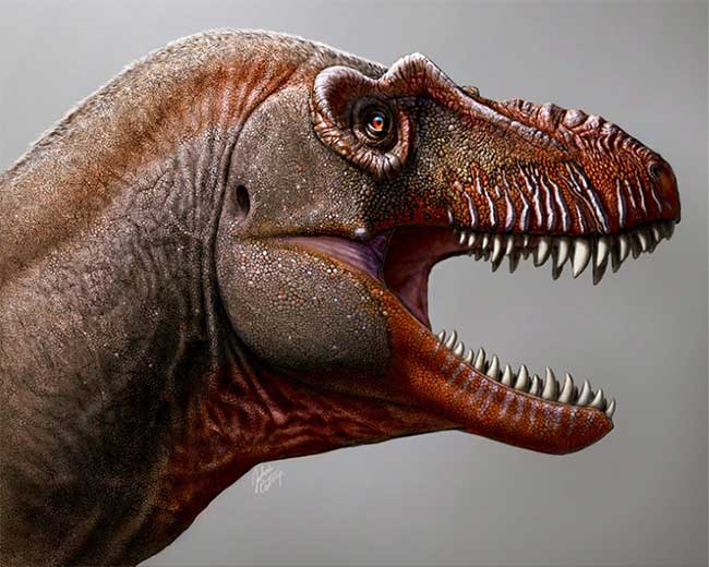 Picture 2 of Fossils reveal relatives of tyrant dinosaurs