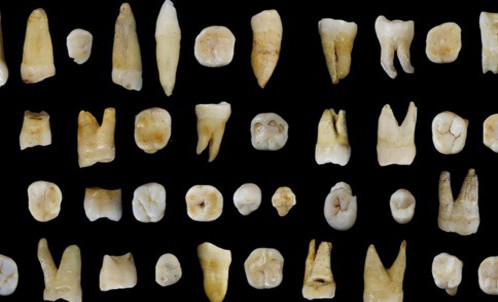 Picture 1 of Fossils show that modern people come to Asia earlier than Europe