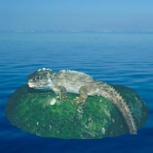 Picture 1 of Fossils sparked controversy over New Zealand's engulfment