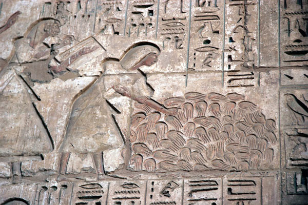 Picture 7 of Found 16 right hands that were severed, buried in the ancient palace