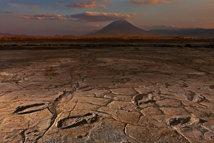 Picture 1 of Found 400 human footprints intact 19,000 years ago