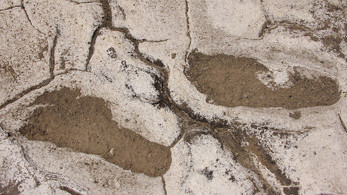 Picture 4 of Found 400 human footprints intact 19,000 years ago