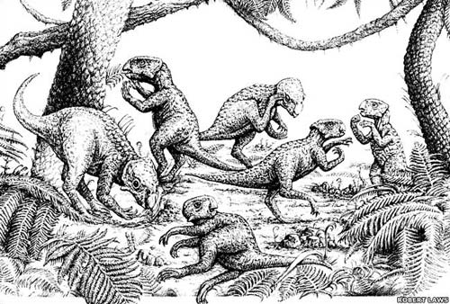 Picture 2 of Found 6 dinosaurs in China