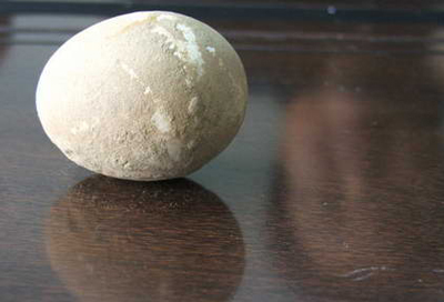 Picture 2 of Found 600-year-old chicken egg