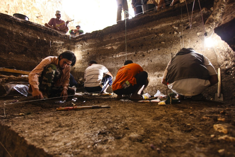 Picture 4 of Found 700,000 year old 'dwarf' hobbit bone in Asia