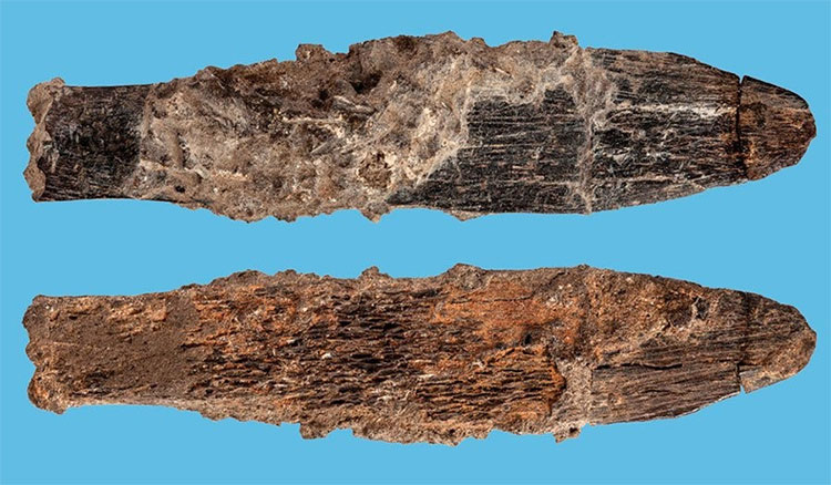 Picture 1 of Found 90,000-year-old knife crafted in North Africa
