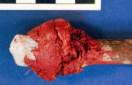 Picture 1 of Found a kind of super glue from the Stone Age - The sign of intelligence is not known?