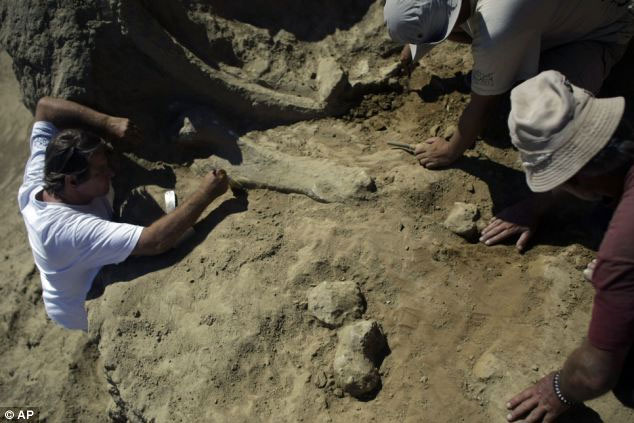 Picture 2 of Found a yard of mammoth bones in Serbia