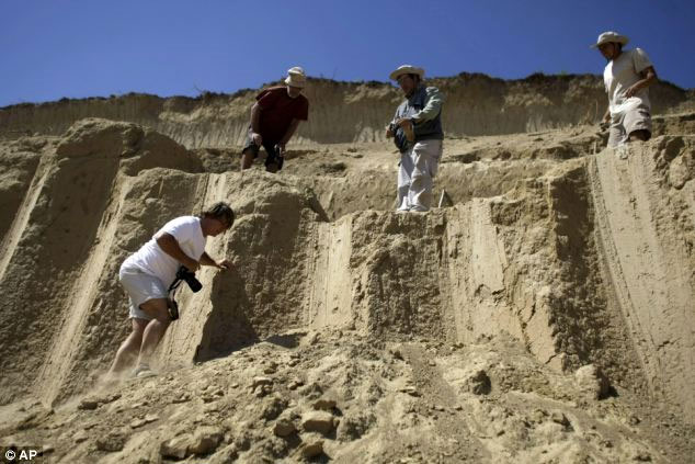 Picture 3 of Found a yard of mammoth bones in Serbia