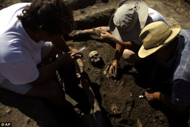 Picture 5 of Found a yard of mammoth bones in Serbia