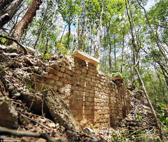 Picture 1 of Found ancient Mayan city in Mexican forest