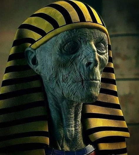 Picture 5 of Found many strange mummies