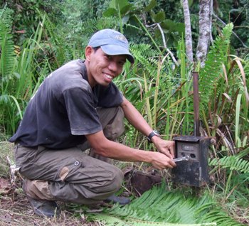 Picture 1 of Found rare nose-haired otter in Borneo island