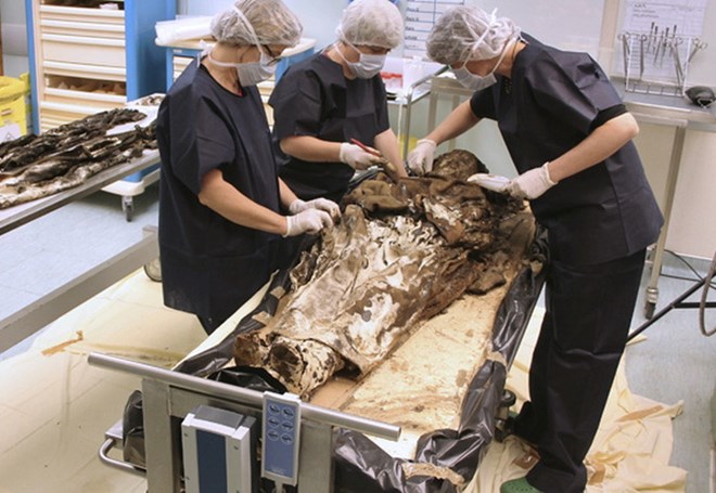 Picture 1 of Found the 17th-century female corpse buried with her husband's heart