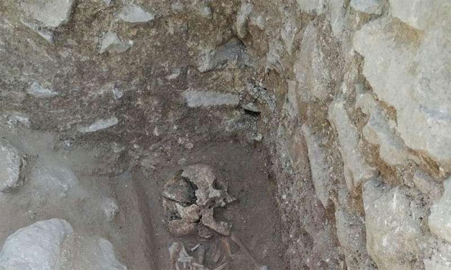 Picture 2 of Found the body of the