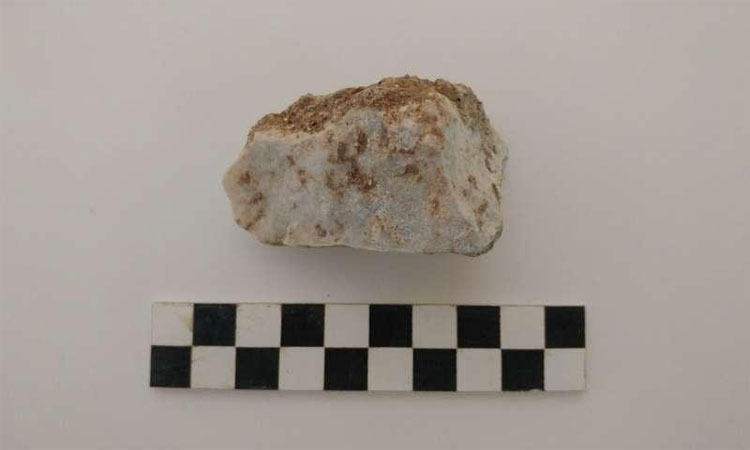 Picture 3 of Found the body of the