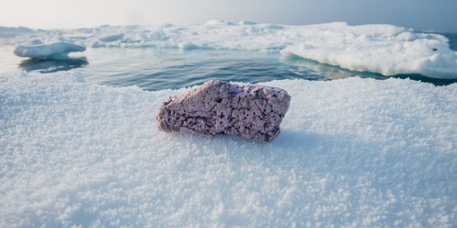 Picture 2 of Found this in the Arctic, the scientists are extremely worried