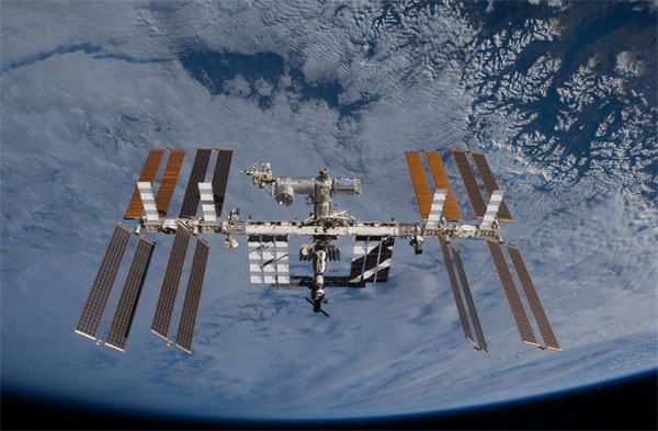 Picture 1 of Found traces of plankton in the universe
