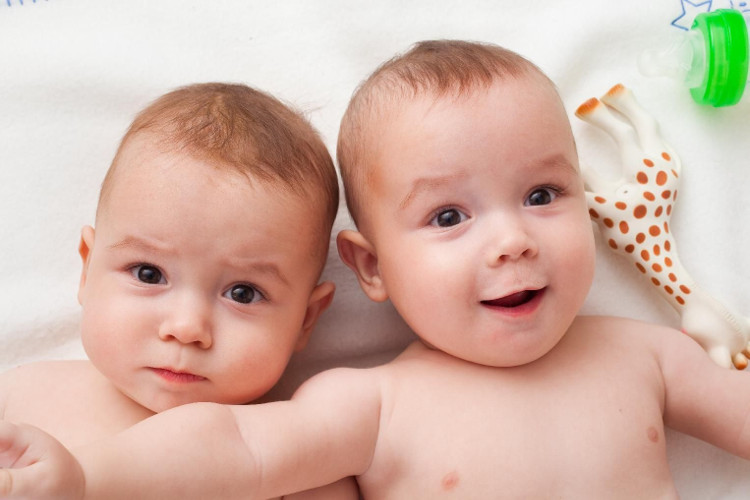 Picture 1 of Found twins in humans