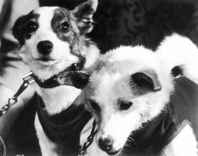 Picture 2 of 'Four-legged astronauts'