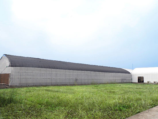 Picture 2 of FPT and Fujitsu built a vegetable factory in Hanoi