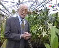 France: Growing many precious orchids in greenhouses images 1