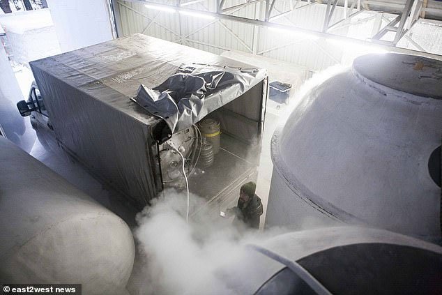 Picture 3 of Freezing brain science Russian genius waiting for revival day