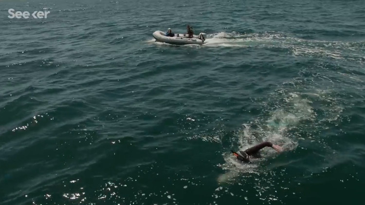 Picture 1 of French athletes swim 8,850km across the Pacific