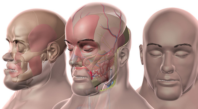 Picture 2 of French doctors have made history, when transplanted a second face for the same person