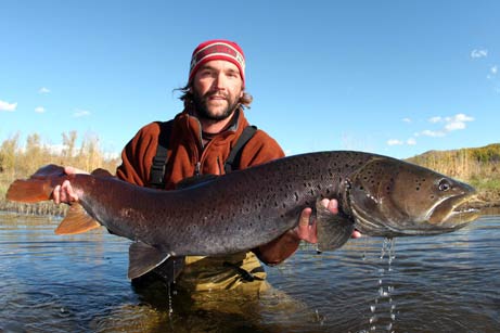 Picture 1 of Freshwater fish 'become fine'