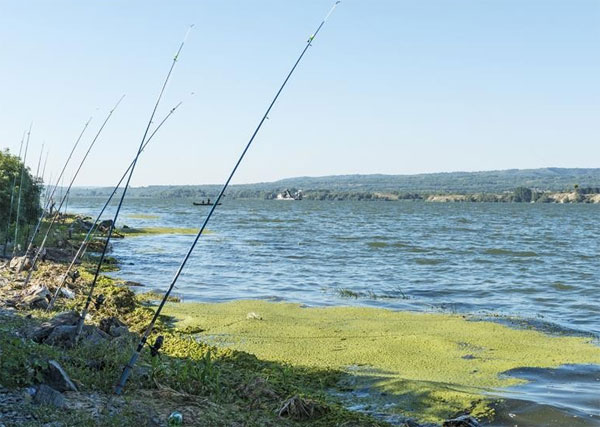Picture 1 of Freshwater in Europe is polluted worse than estimated