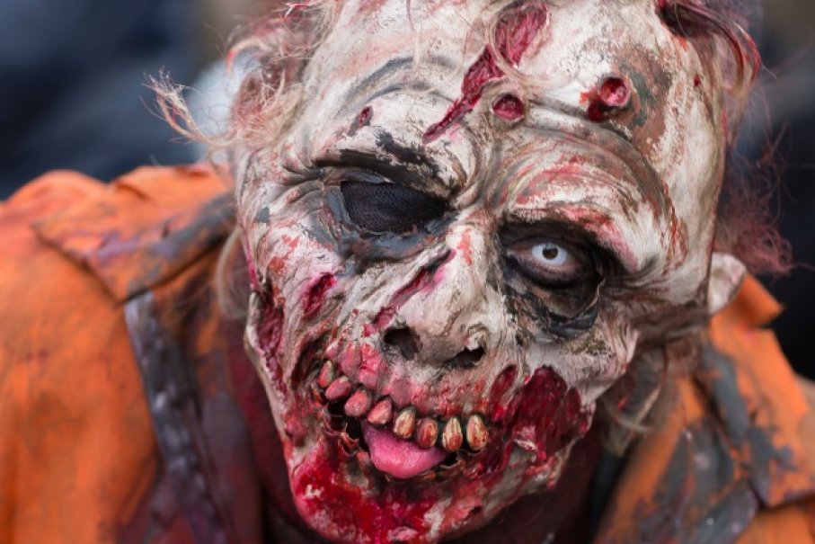 Picture 4 of From a biological perspective, zombies absolutely cannot exist
