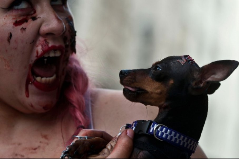 Picture 7 of From a biological perspective, zombies absolutely cannot exist