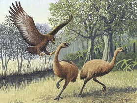 Picture 1 of From eggshell, recreate the extinct genome