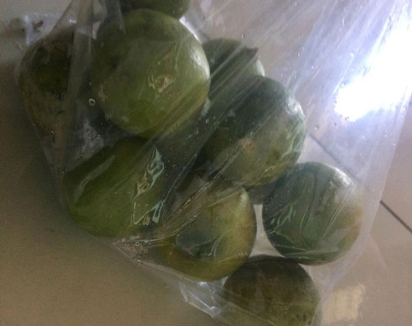 Picture 2 of From powdered vegetables, female students create 'nylon' bags that can dissolve in water