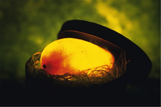Picture 3 of Fruit accumulation through world folk tales