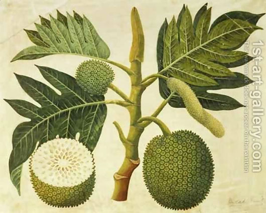 Picture 5 of Fruit accumulation through world folk tales
