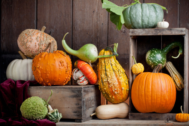 Picture 4 of Fruits and vegetables should be used in the winter