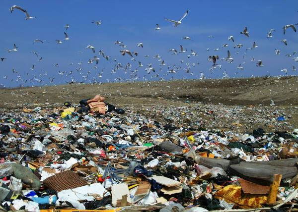 Picture 3 of Fuel made from waste
